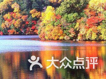 【个税扣缴】退钱了!3月31日截止!