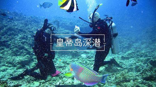 一张图让你戒猫358